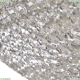 Люстра 19321/55NZ/LED-DIM Ni ★ Bohemia Ivele Crystal — купить в интернет магазине «Люстравик»☀