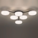 Люстру 8236/6CL ★ LUMION — купить в интернет магазине ЛЮСТРАВИК☀ Люстру 8236/6CL ★ LUMION — купить в интернет магазине ЛЮСТРАВИК☀