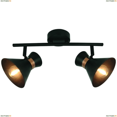 Спот A1406AP-2BK ★Arte Lamp, Черный► — Купить▼
