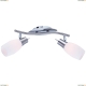 Спот A4590AP-2SS ★Arte Lamp, Хром► — Купить▼