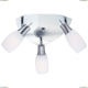 Спот A4590PL-3SS ★Arte Lamp, Хром► — Купить▼