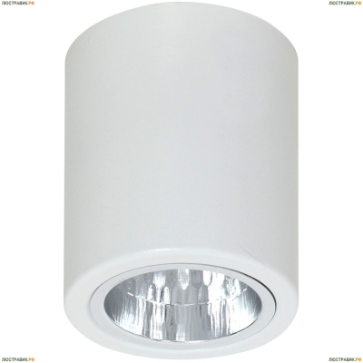 Накладной светильник Luminex DOWNLIGHT ROUND 7234 - купить в интернет-магазине ЛЮСТРАВИК
