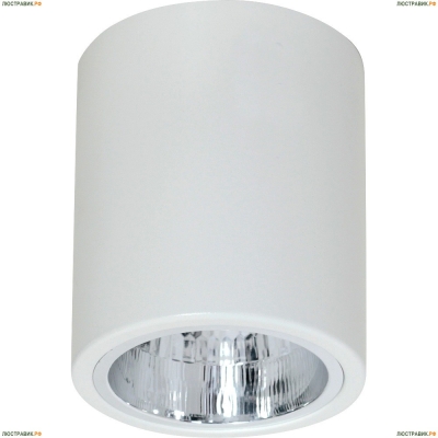 Накладной светильник Luminex DOWNLIGHT ROUND 7236 - купить в интернет-магазине ЛЮСТРАВИК