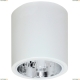 Накладной светильник Luminex DOWNLIGHT ROUND 7240 - купить в интернет-магазине ЛЮСТРАВИК