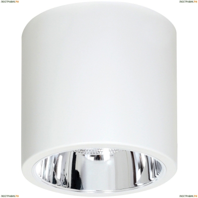 Накладной светильник Luminex DOWNLIGHT ROUND 7242 - купить в интернет-магазине ЛЮСТРАВИК
