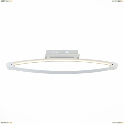 SL920.102.01 Потолочный светодиодный светильник ST Luce SL920 - купить в интернет-магазине Люстравик