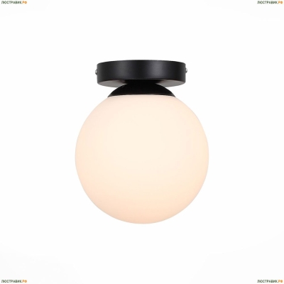 SL717.401.01 Потолочный светильник ST Luce Acini Black - купить в интернет-магазине Люстравик