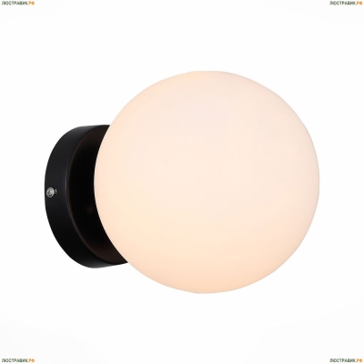 SL717.401.01 Потолочный светильник ST Luce Acini Black - купить в интернет-магазине Люстравик