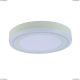 Светильник A7816PL-2WH ★Arte Lamp, Белый► — Купить▼