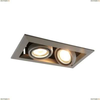 Светильник A5941PL-2GY ★Arte Lamp, Серый► — Купить▼