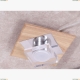 Потолочный светильник Lucia Tucci Natura Natura 073.1 LED - купить в интернет-магазине ЛЮСТРАВИК
