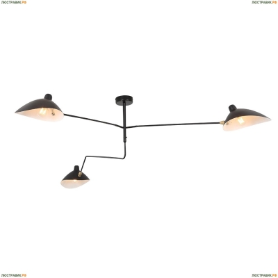 Потолочная люстра ST Luce Spruzzo SL305.402.03 - купить в интернет-магазине ЛЮСТРАВИК