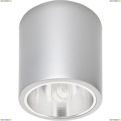 Потолочный светильник Nowodvorski Downlight Silver 4867 - купить в интернет-магазине ЛЮСТРАВИК