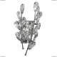 Бра 791614 ★Lightstar, 1 x 40Вт☀, Хром► — Купить▼