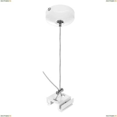 Подвес 504176 ★Lightstar► — Купить▼