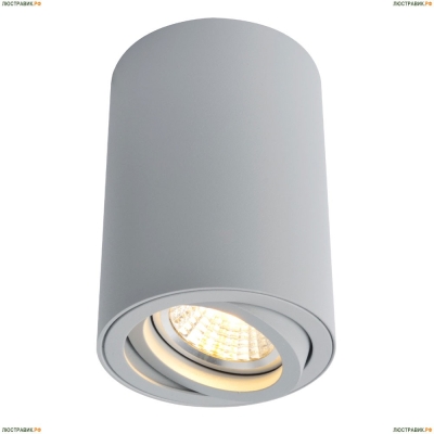 Светильник A1560PL-1GY ★Arte Lamp, Серый► — Купить▼