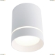 Светильник A1909PL-1WH ★Arte Lamp, Белый► — Купить▼