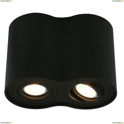 Светильник A5644PL-2BK ★Arte Lamp, Черный► — Купить▼