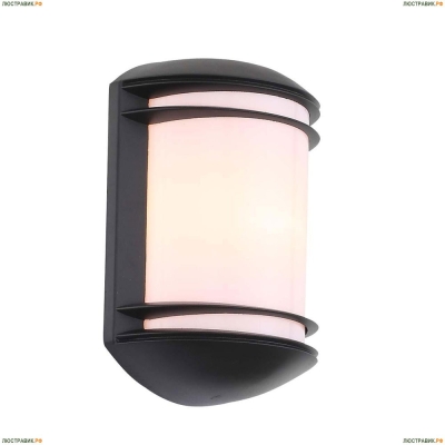 Уличный настенный светильник ST Luce Agio SL076.401.01 — купить в интернет магазине ЛЮСТРАВИК