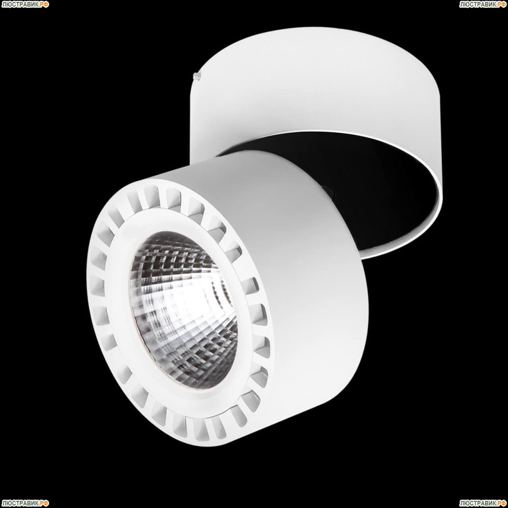 Светильник 381363 ★Lightstar, 1 x 35Вт☀, Черный► — Купить▼